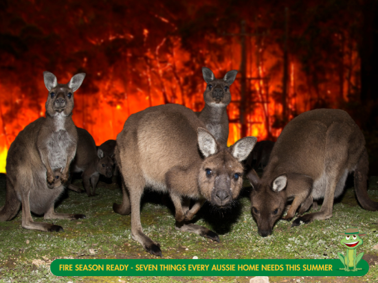 Fire Season Ready - Seven Things Every Aussie Home Needs This Summer