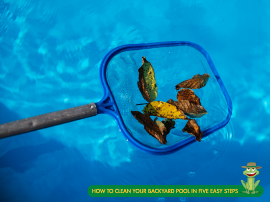 How To Clean Your Backyard Pool In Five Easy Steps
